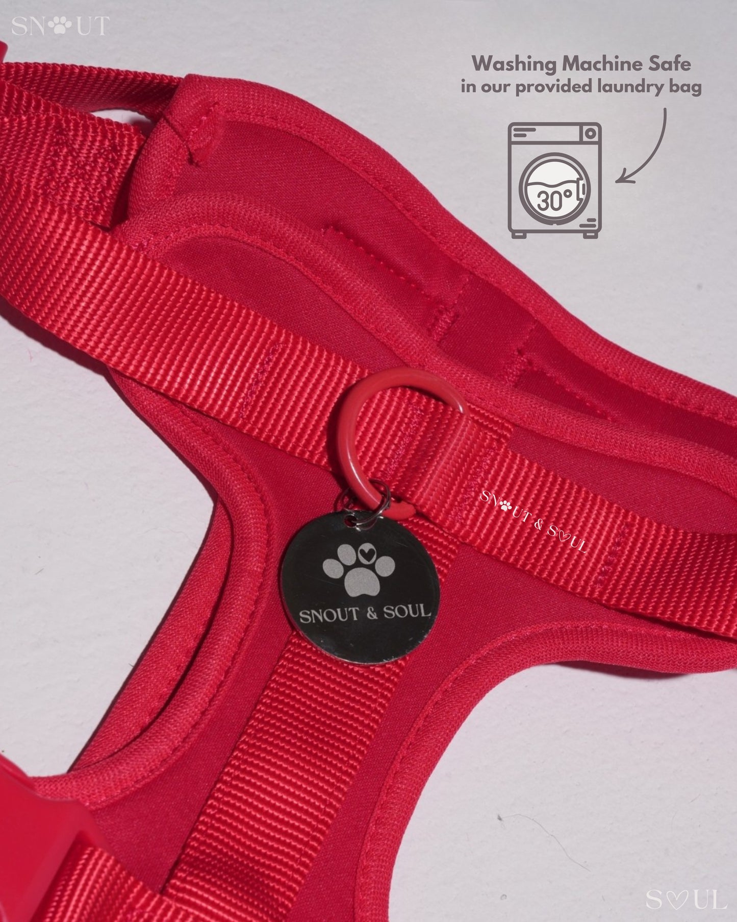 Geschirr Walk & Play Set